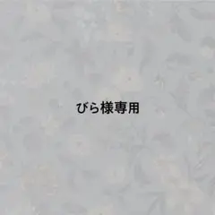 ★24h以内・速達郵便★【びら様専用】No.14