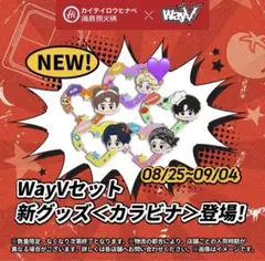 NCT WayV テン うちわ　セット　ソロコン on the way ペンミ 値下げしました :)】 wayv nct テン うちわ 2個セット売り
