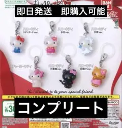 新品未開封 ハローキティ めじるしアクセサリー コンプ コンプリート 6点セット