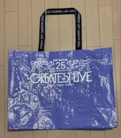 3/20 RIPSLYME GREATEST LIVE 入場特典 バッグ メダル - メルカリ