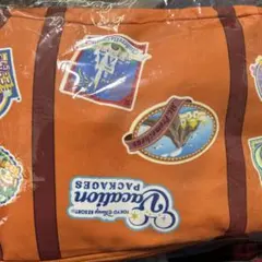 ディズニー バケーションパッケージ ブランケット