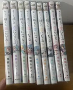 キミと越えて恋になる 9巻セット