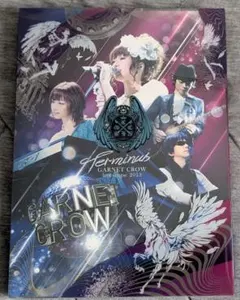 GARNET CROW livescope 2013 ～Terminus～