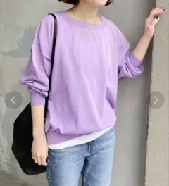 未使用！Spick and Spanシアーニットプルオーバー