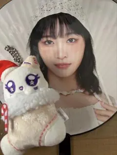ME:I ミーアイ まとめ売り うちわ ぬいぐるみ 即購入 値下げ要相談
