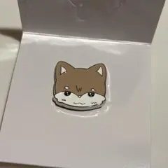 NEXZ jyp popup ソゴン　so geon ピンバッチ