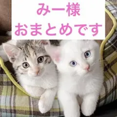 みー様 リクエスト 3点 まとめ商品