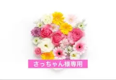【さっちゃん様専用ページ】