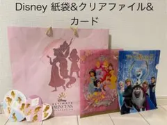 Disney Ultimate Princess 紙袋 クリアファイルのサムネイル