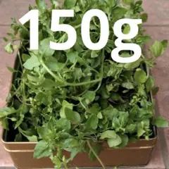 Item thumbnail for item 68b0e9d2-5cdd-4d99-8d66-37738bf60fb5