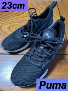 Item thumbnail for item c900db8e-04d5-464a-a22a-4f6775e92c50