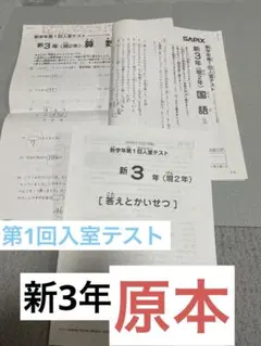 【原本】　サピックス 新3年（現2年） 新学年第1回入室テストのサムネイル