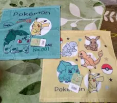 ポケモン タオル2枚セット