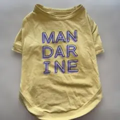 Item thumbnail for item 2a901123-6844-48d7-b5ce-01adba9bee76