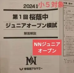 2026年最新】NN桜蔭の人気アイテム - メルカリ