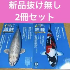 2025年最新】月刊錦鯉の人気アイテム - メルカリ