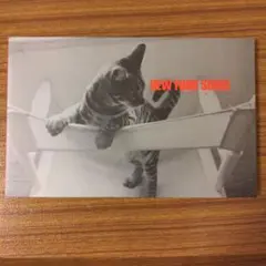 BANANA FISH バナナフィッシュ 写真集 NEW YORK SENSE