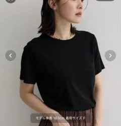 週末　処分値下げ　今季　グリーンパークス　半袖　ブラックのサムネイル