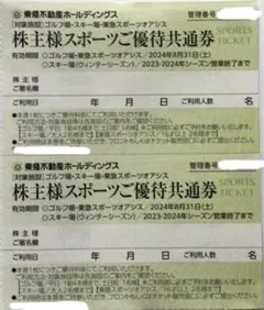 ２枚で❣️東急スポーツ共通優待券❣️東急不動産株主優待券