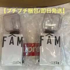 【プチプチ梱包/即発送可】timeleszペンライトFAM DOME 2個セット