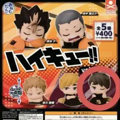 ハイキュー!! おねむたん 宮治