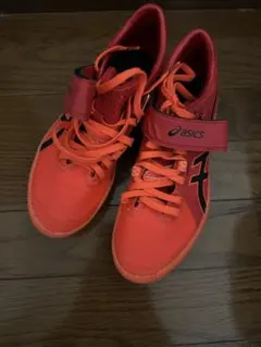 Item thumbnail for item 569f9543-08c2-41e0-ab1f-320bbac8a74c