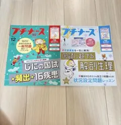 プチナース 2024年12月号・2025年1月号 2冊セット