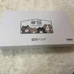 Item thumbnail for item 123cc5f6-0cf7-4c13-8f8c-ffdc8b167264