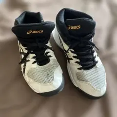 Item thumbnail for item 3cc4f943-d808-4613-bbe8-46642948523b