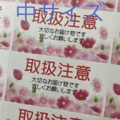 中サイズケアシール　取扱注意　コスモスいっぱいA 72枚