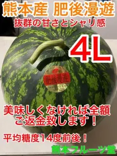 最高に美味い！熊本産【肥後漫遊】秀品特大4L2玉19-21kg箱込 かめ屋 