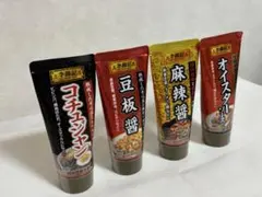 SB食品 李錦記シリーズ 中華味チューブ４種セットのサムネイル