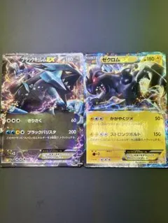 블랙 큐렘 EX008/018, 제크롬 EX009/018