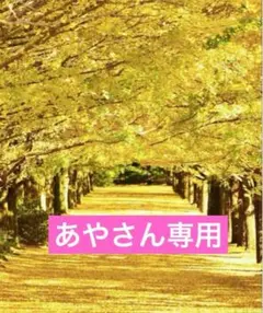 あや様専用　おまとめ【A】