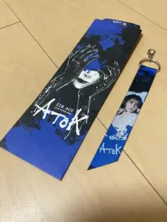 2026年最新】限定 藍井エイルの人気アイテム - メルカリ