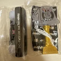 2025年最新】WESTペンライトの人気アイテム - メルカリ