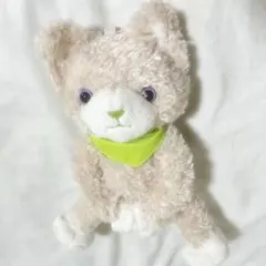 PRINCE CAT パラチア 骨組みなし | Mercari