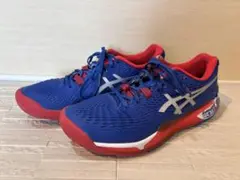 【限定モデル】アシックス ゲルレゾリューション9 Limited Edition
