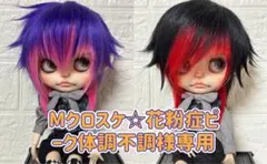 Mクロスケ☆花粉症ピーク体調不調様専用