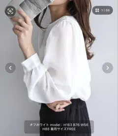 Chaco closet シアー クレープ ボリュームスリーブ ブラウスのサムネイル