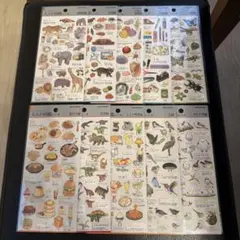 大人図鑑　まとめ売り　10枚セット