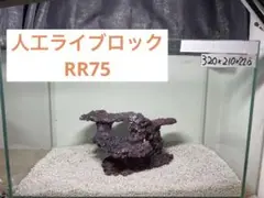 2025年最新】ライブロック セメントの人気アイテム - メルカリ