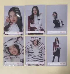 櫻坂46 遠藤光莉　東京ドームオープニング　コンプ　どうぶつ着ぐるみヨリチュウ