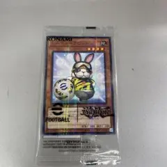 遊戯王 レスキューラビット 、ネイマール