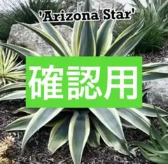 2025年最新】ウェベリーの人気アイテム - メルカリ