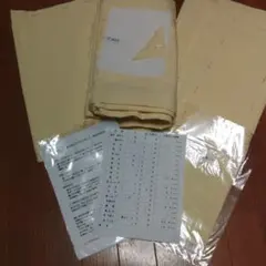 Item thumbnail for item 35628a91-2a70-4e69-85e3-98b5f578014f