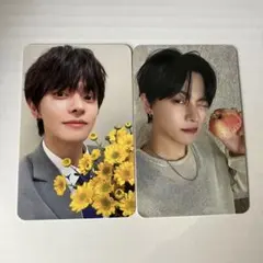 ald1 タレントカード