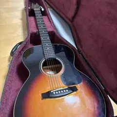 Takamine アコースティックギター 本体 ハードケース付