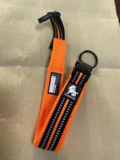 Item thumbnail for item 21ff202d-b1c3-4b10-86db-801a34cbd9e5