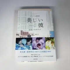 TVドラマ&劇場版「美しい彼」公式シナリオブック